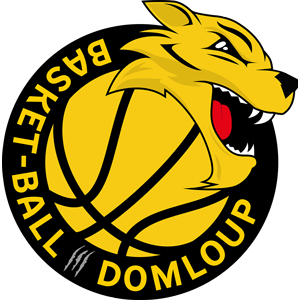 DOMLOUP SPORTS